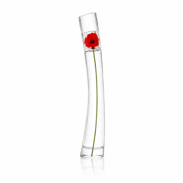Damen 3er-Set — Pusteblume