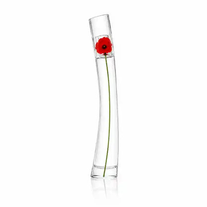 Damen 3er-Set — Pusteblume